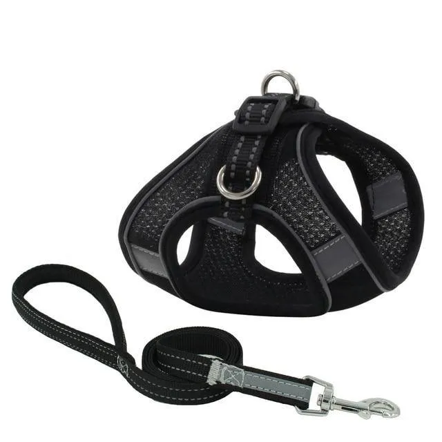 Reflective Leash With Dog Harness