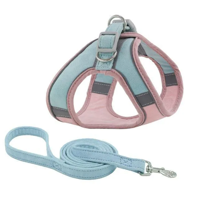 Reflective Leash With Dog Harness