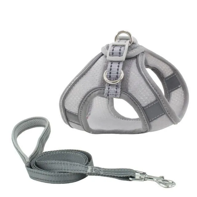 Reflective Leash With Dog Harness