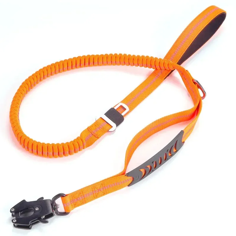 Retractable Leash for Cats and Dogs