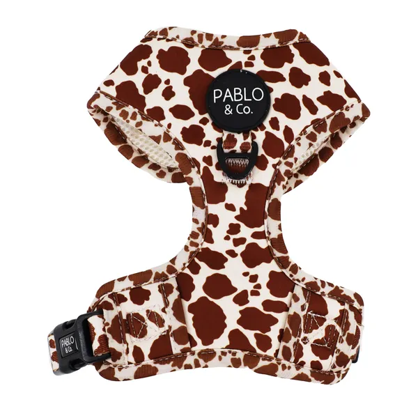Rodeo: Adjustable Harness