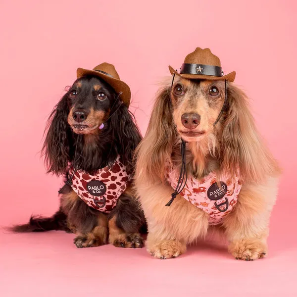 Rodeo: Adjustable Harness