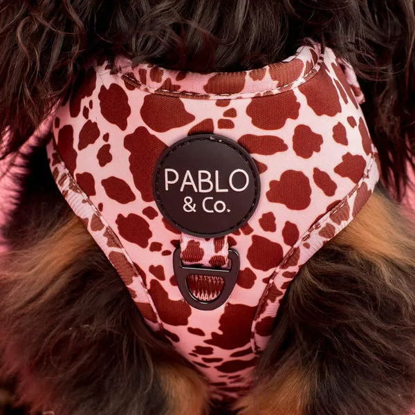 Rodeo: Adjustable Harness