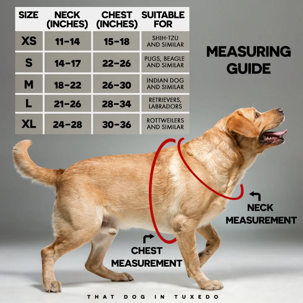 Rolling Stones Dog Body Mesh Harness