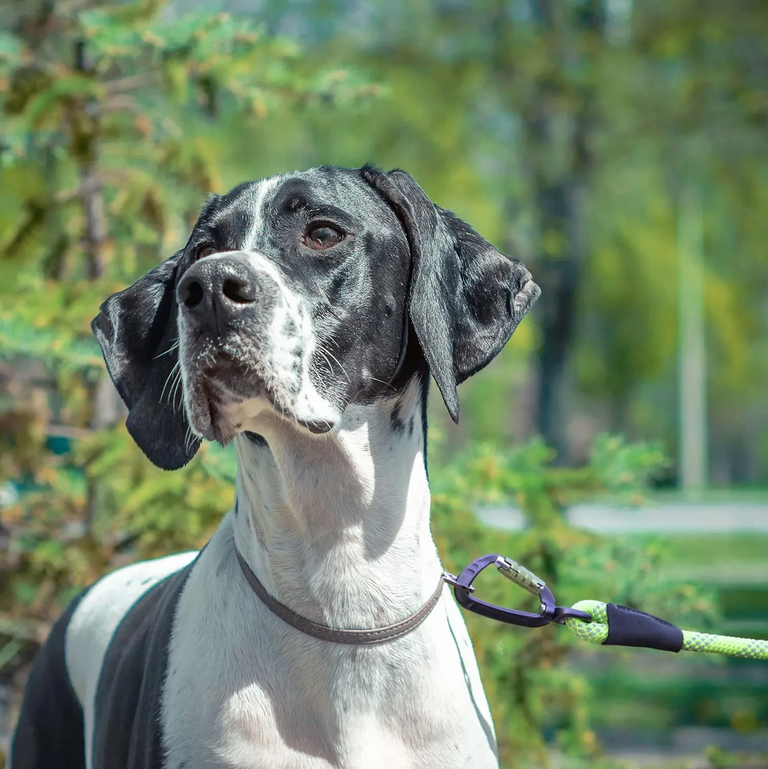 Rope Dog Leash 5ft Long, Two Traffic Handles, Heavy Duty, Reflective Double Handles Lead for Safety and Control Training, Leashes for Large Dogs or Medium Dogs, Dual Handles Leads (Gray)