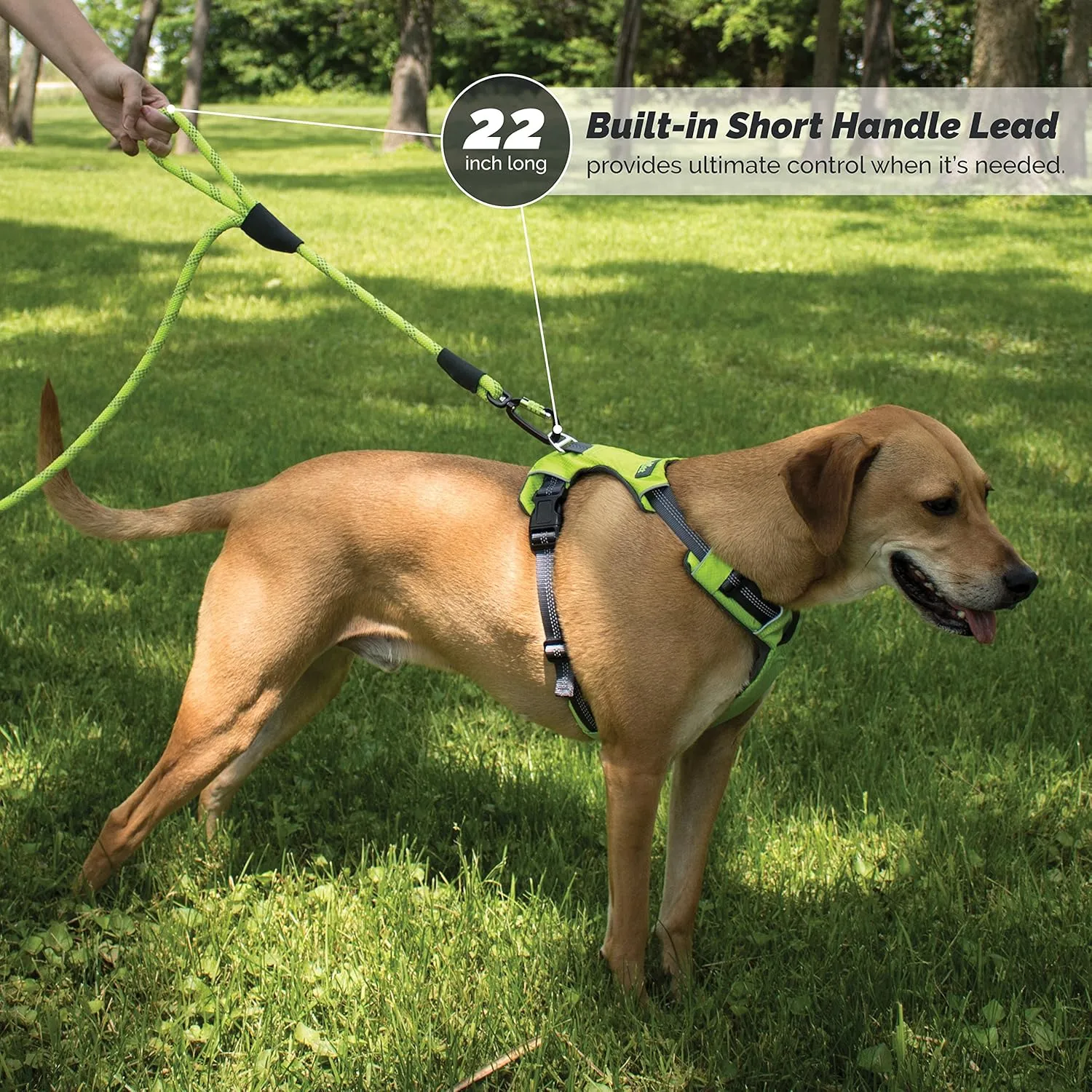 Rope Dog Leash 5ft Long, Two Traffic Handles, Heavy Duty, Reflective Double Handles Lead for Safety and Control Training, Leashes for Large Dogs or Medium Dogs, Dual Handles Leads (Gray)