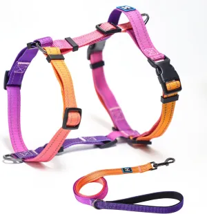 Roses&Poetry Dog Harness for Large Dogs, No-Pull Dog Harness and Leash Set Adjustable Reflective, Dog Vest Harnesses Comfort Padded Handle, Pet Harness for Training Outdoor Walking（Mistyrose-L