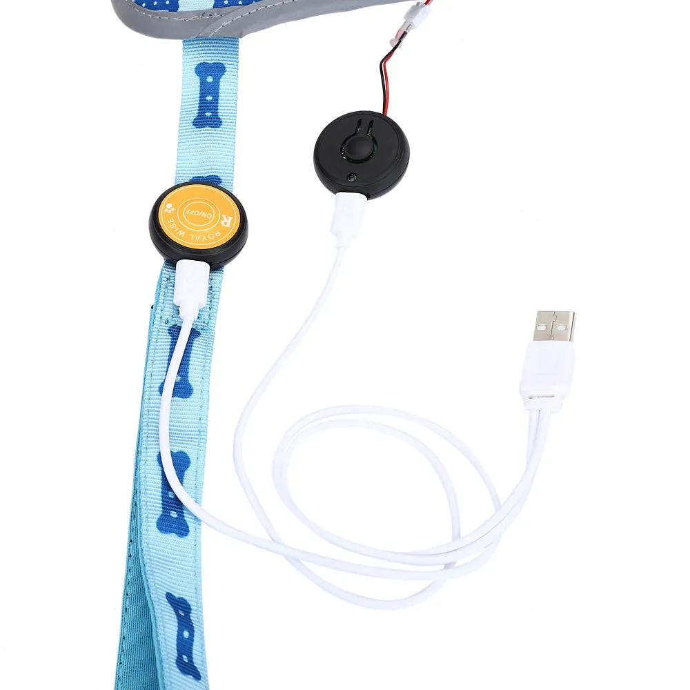 Royal Wise R Dog LED Lights Illuminating