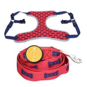 Royal Wise R Dog LED Lights Illuminating