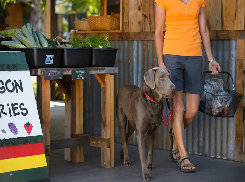 Ruffwear Knot-A-Long