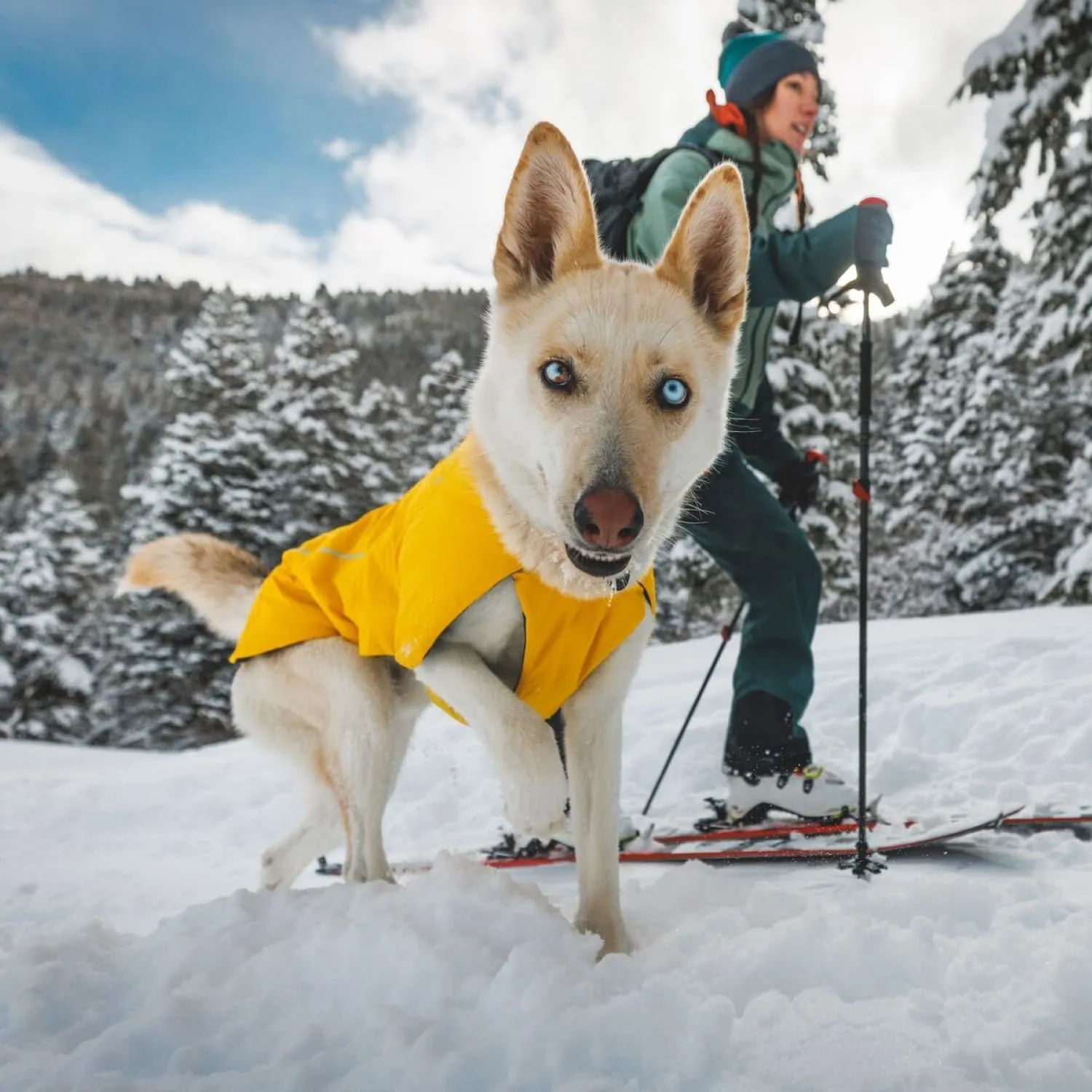 Ruffwear, Vert Dog Winter Jacket, Waterproof & Insulated Coat for Cold Weather, Mineral Yellow, Medium