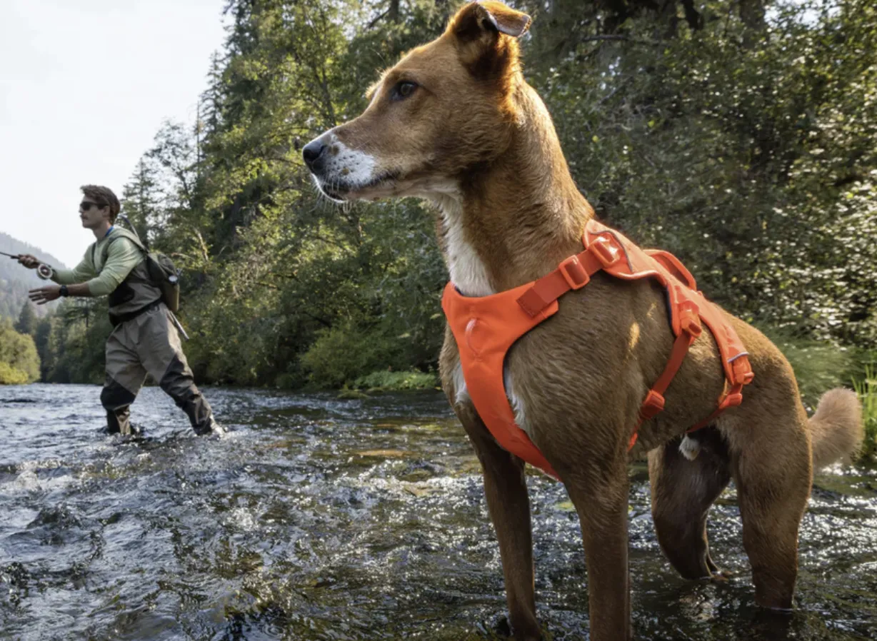 Ruffwear Web Master Red Canyon