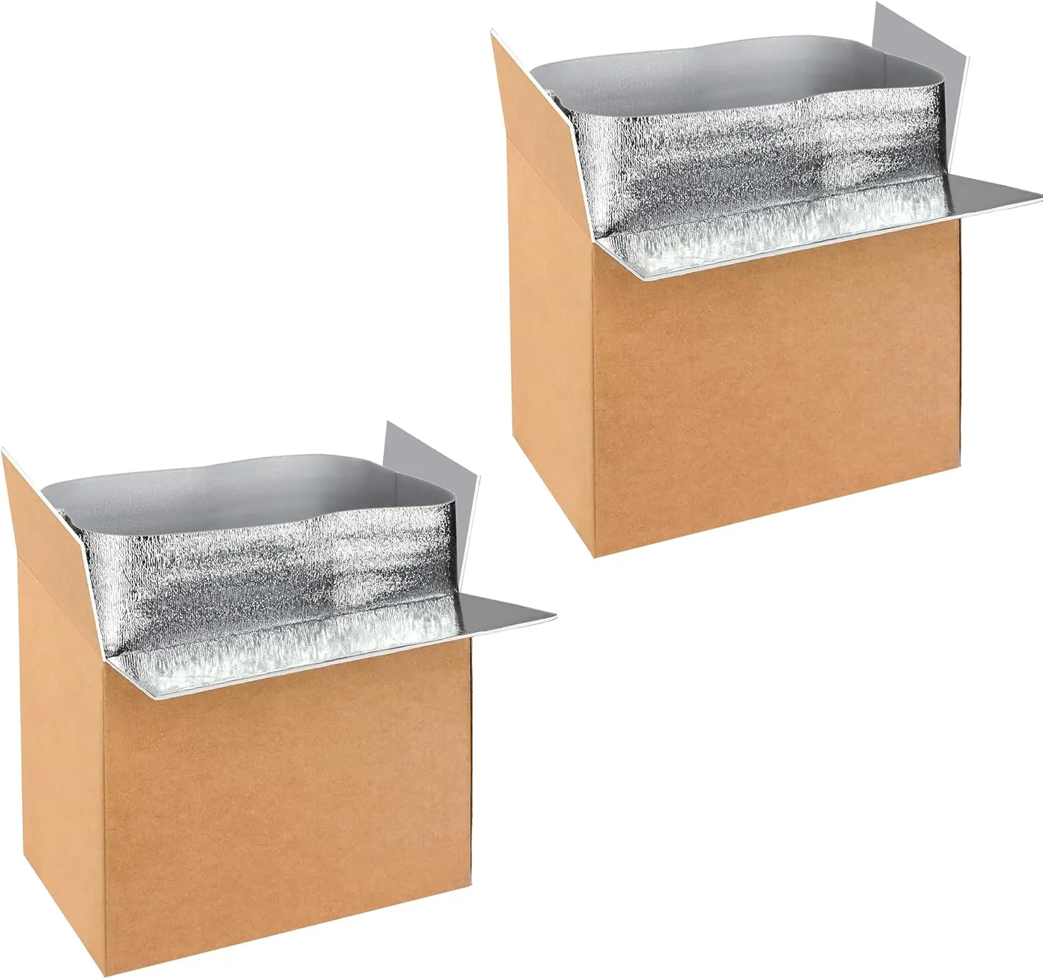 Simple Deluxe 2 Pack Insulated Shipping Boxes with Aluminum Foil Liner,Thermal Insulation Cold Pack Shipping Boxes for Frozen, Reusable Styrofoam Cooler Box, Small Mailing Box, 19''x12''x16''