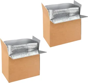 Simple Deluxe 2 Pack Insulated Shipping Boxes with Aluminum Foil Liner,Thermal Insulation Cold Pack Shipping Boxes for Frozen, Reusable Styrofoam Cooler Box, Small Mailing Box, 19''x12''x16''