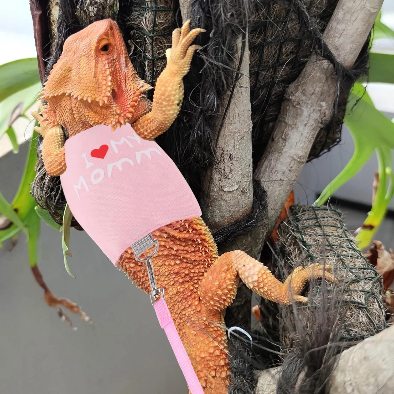 Small Animal Travel Backpack Carrier,Portable Bearded Dragon Bag for Sugar Glider,Hedgehog,Rat,Bunny,Rat,Outdoor Used (Pink, Carrier L  I Leash)