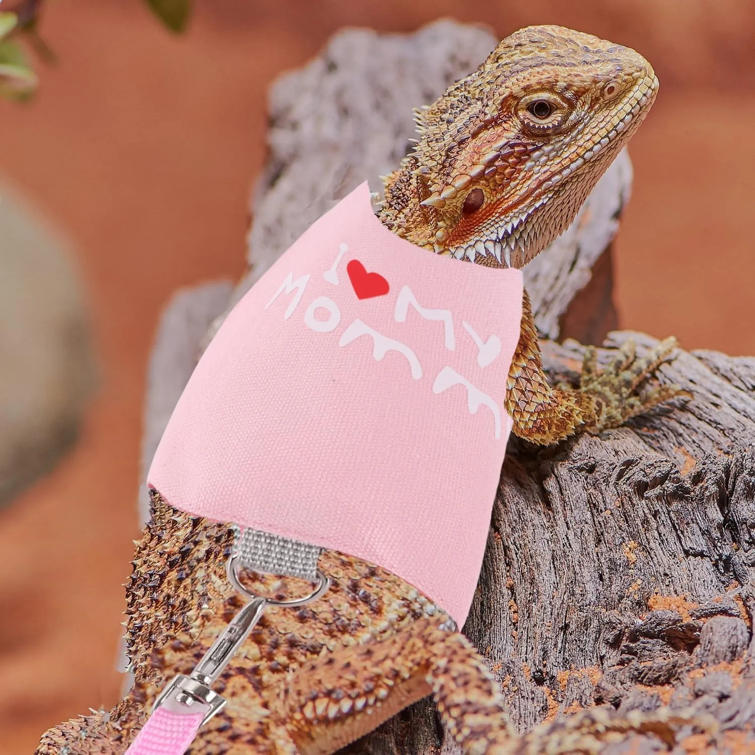 Small Animal Travel Backpack Carrier,Portable Bearded Dragon Bag for Sugar Glider,Hedgehog,Rat,Bunny,Rat,Outdoor Used (Pink, Carrier L  I Leash)