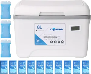Small Cooler - 8L Outdoor Lunch Breastmilk Thermal Box | Leakproof Drink Icechest | 8L Portable Insulated Ice Chest with Handle | Thermal Container with Temperature Display for Food Storage Backy