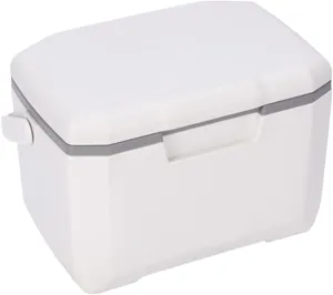 Small Cooler,6l Insulated Cooler Lunch Box, Portable Hard Cooler with 5 Ice Packs & Handle, Great for Camping, Tailgating, Beach, Picnic, Groceries, Lunch, & More