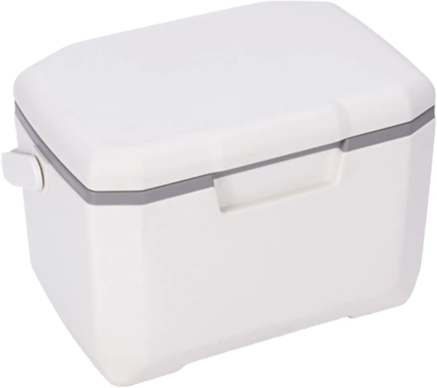 Small Cooler,6l Insulated Cooler Lunch Box, Portable Hard Cooler with 5 Ice Packs & Handle, Great for Camping, Tailgating, Beach, Picnic, Groceries, Lunch, & More