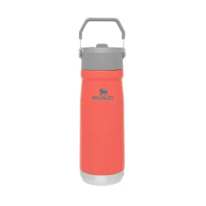 Stanley 17Oz Classic Flip Straw Wtr Btl Guava