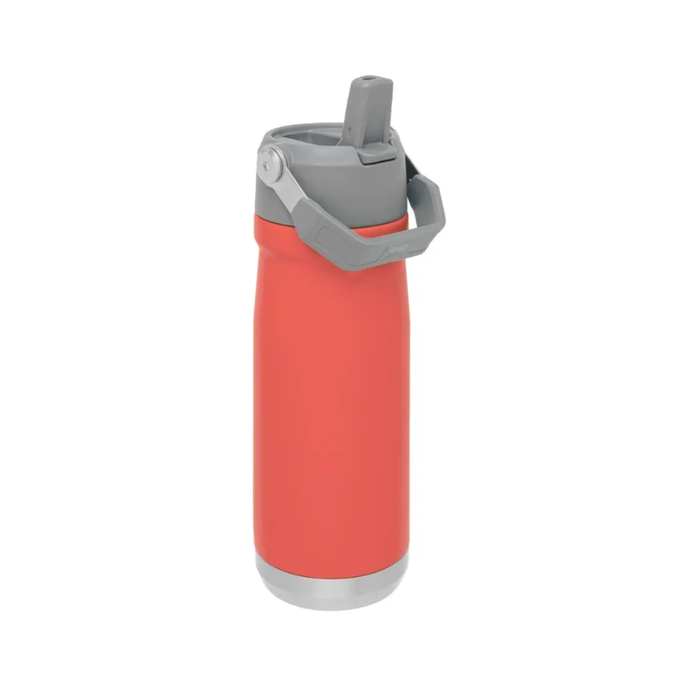 Stanley 17Oz Classic Flip Straw Wtr Btl Guava