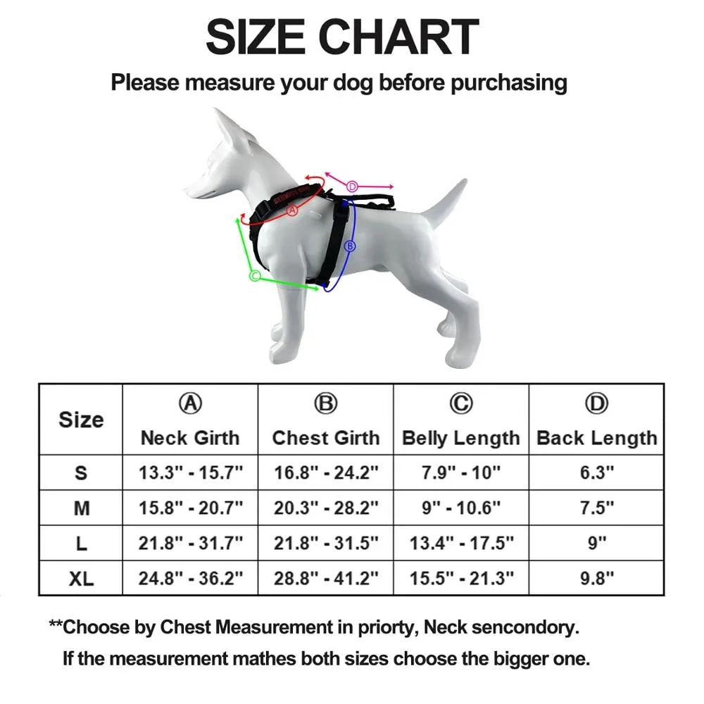 Sturdy Handle Dog Walking Harness