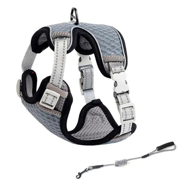 Summer Breathable Reflective Dog Harness