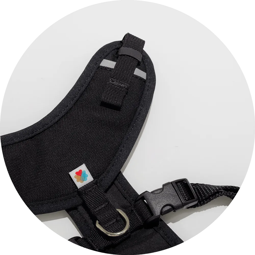 Sutro Snug Fit Dog Harness