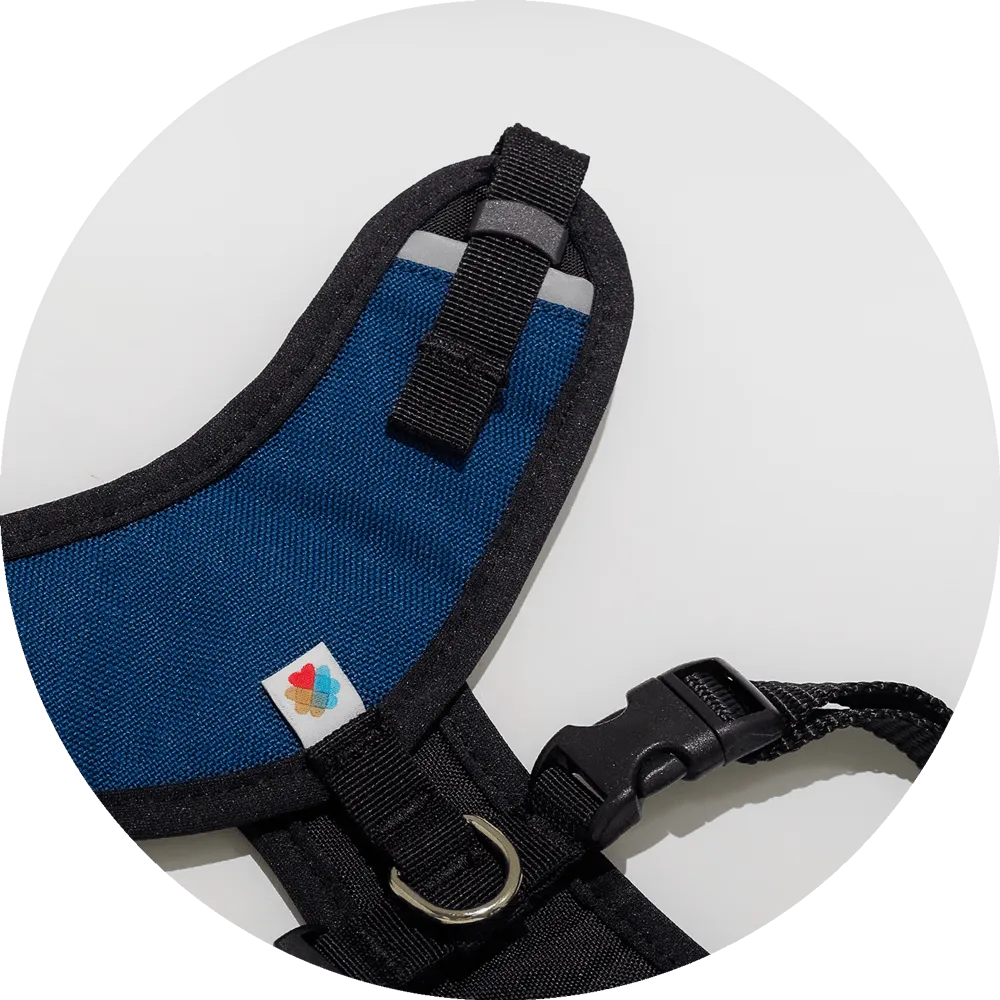 Sutro Snug Fit Dog Harness