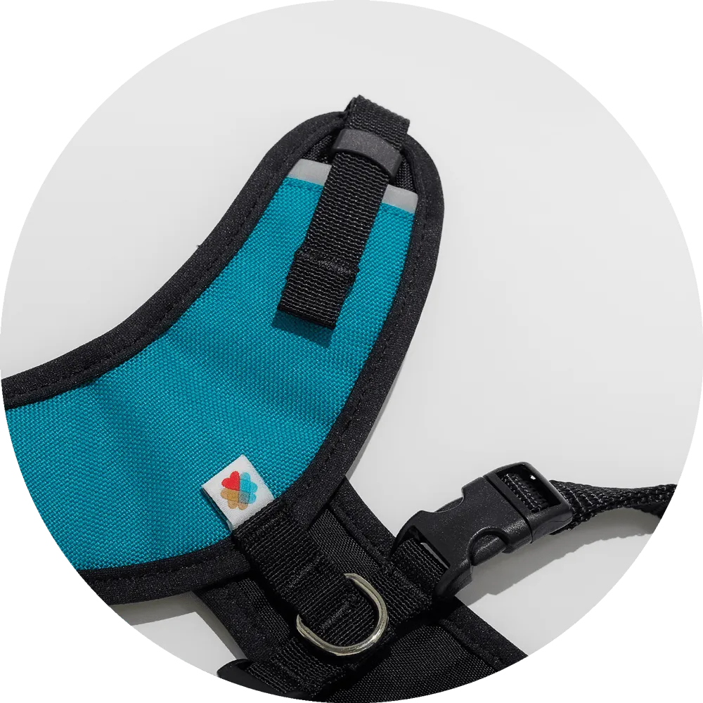 Sutro Snug Fit Dog Harness