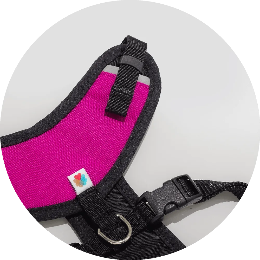 Sutro Snug Fit Dog Harness