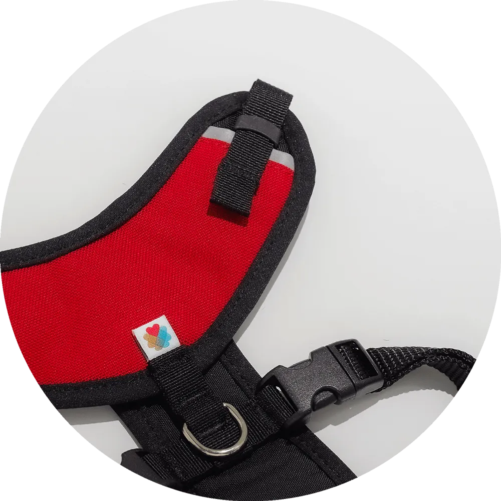 Sutro Snug Fit Dog Harness
