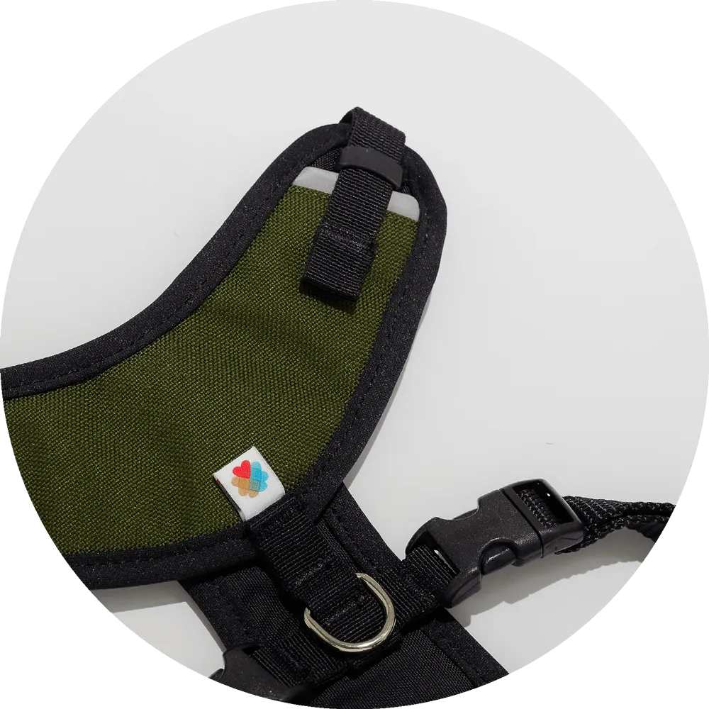 Sutro Snug Fit Dog Harness