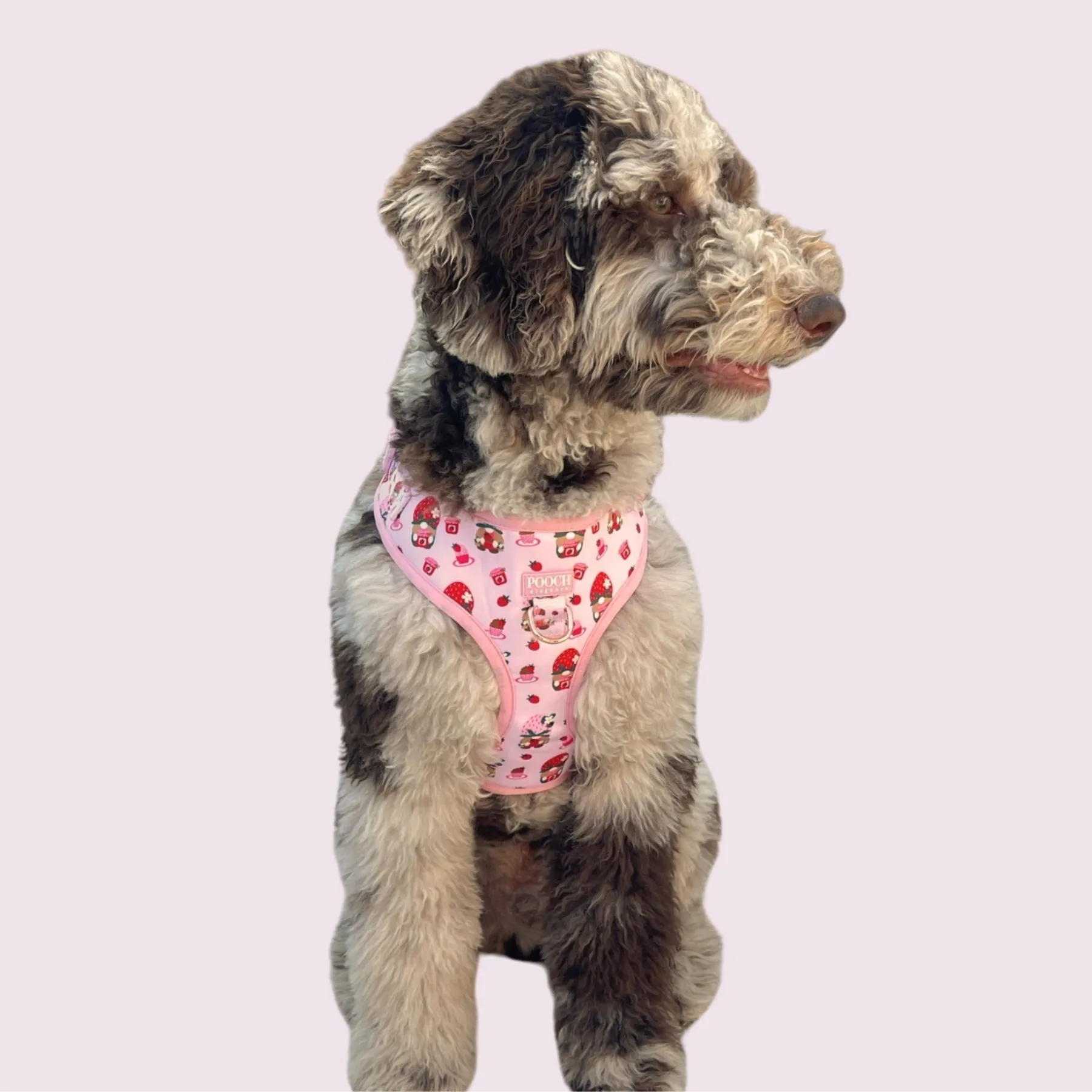 Sweetberry Picnic Adjustable Dog Harness