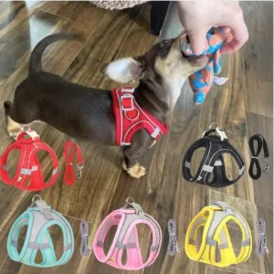 TailTribe Dachshund Reflective Harness and Leash