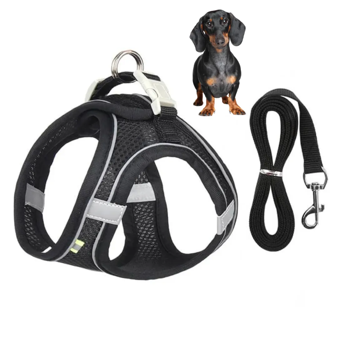TailTribe Dachshund Reflective Harness and Leash