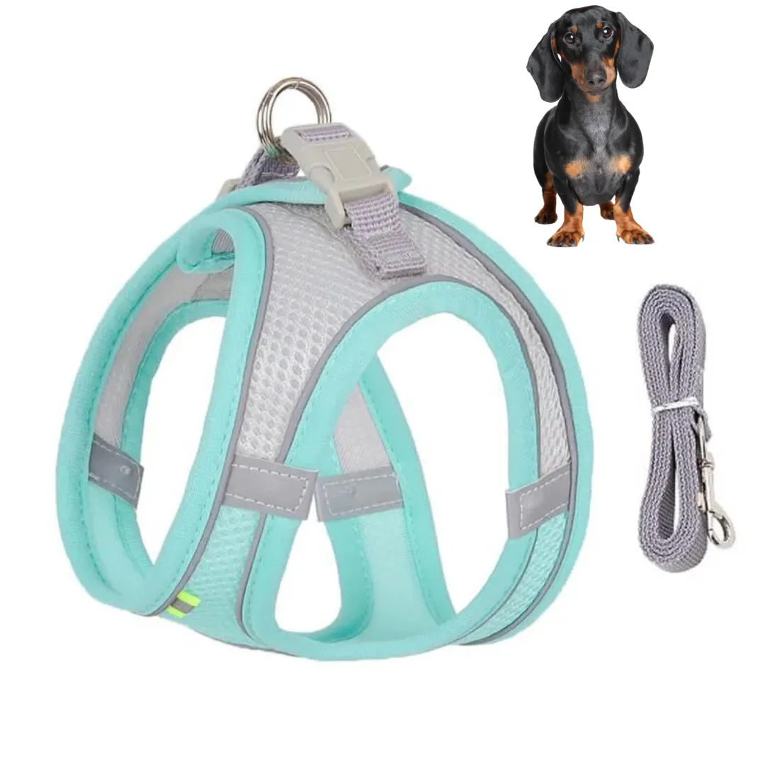TailTribe Dachshund Reflective Harness and Leash