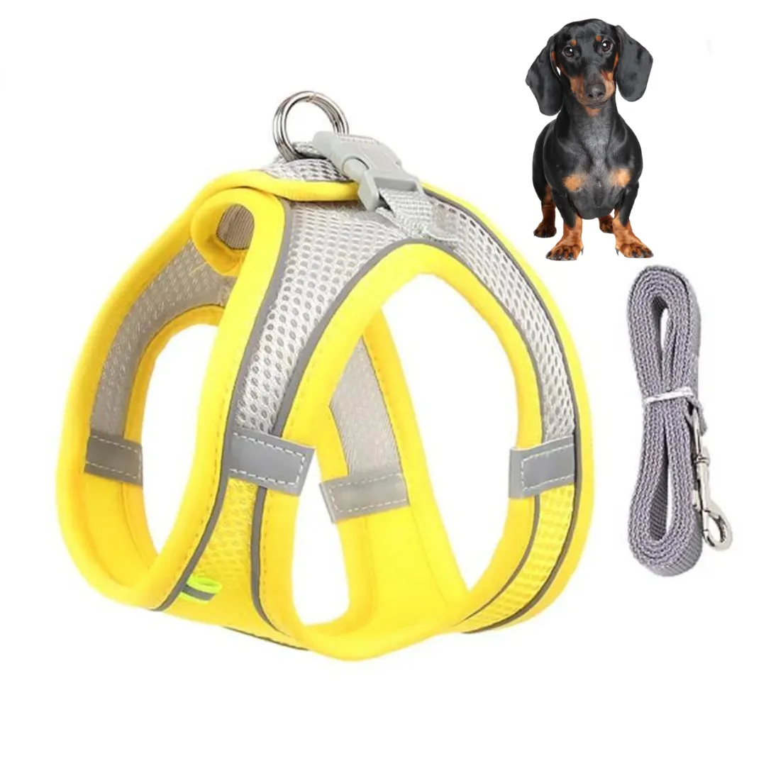 TailTribe Dachshund Reflective Harness and Leash