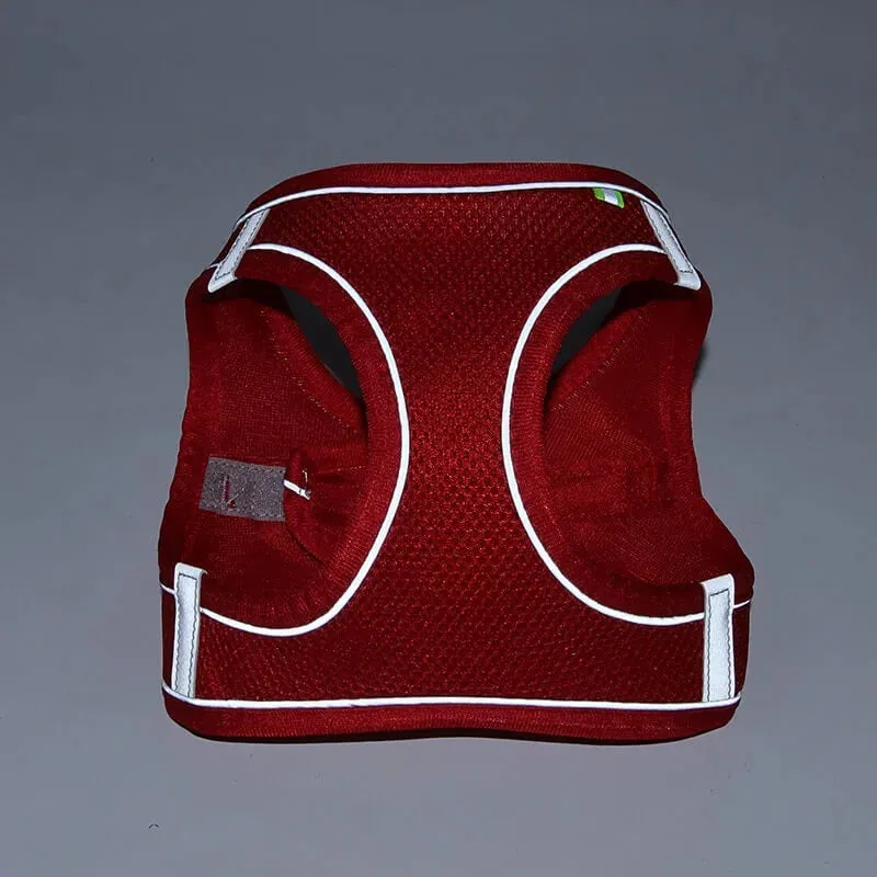 TailTribe Dachshund Reflective Harness and Leash