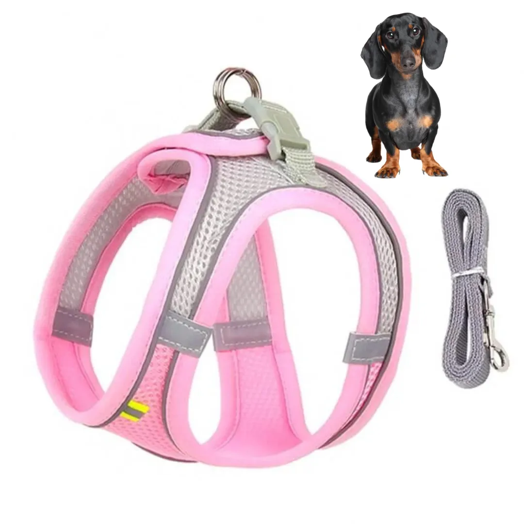 TailTribe Dachshund Reflective Harness and Leash
