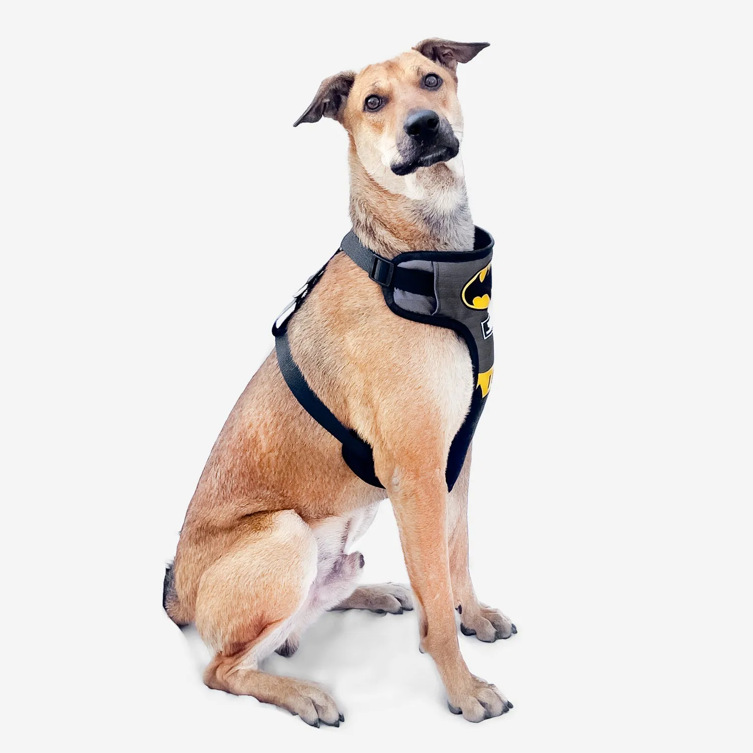 TDIT Batdog Body Mesh Harness