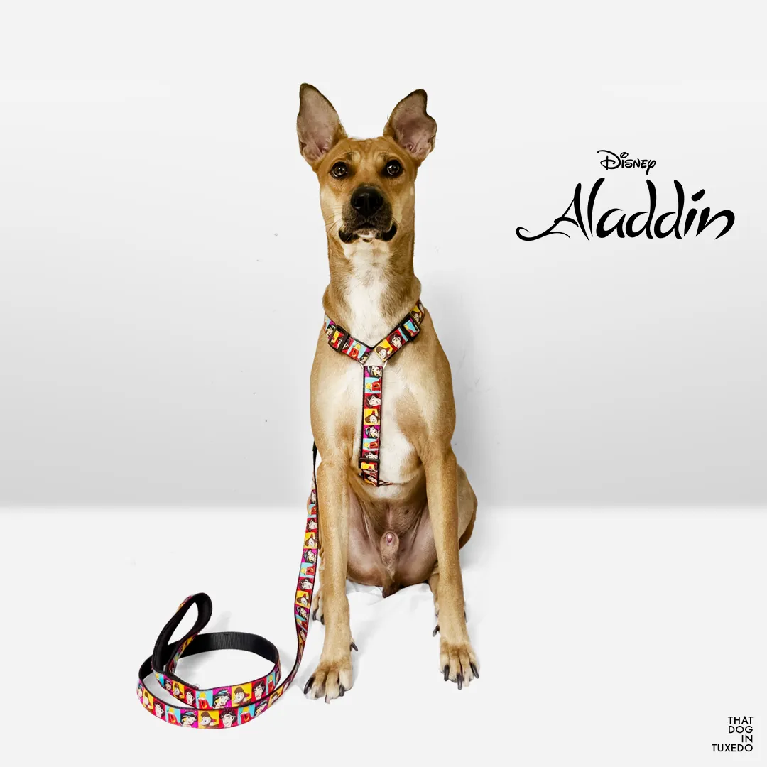 TDIT H-Harness - Adventures of Aladdin