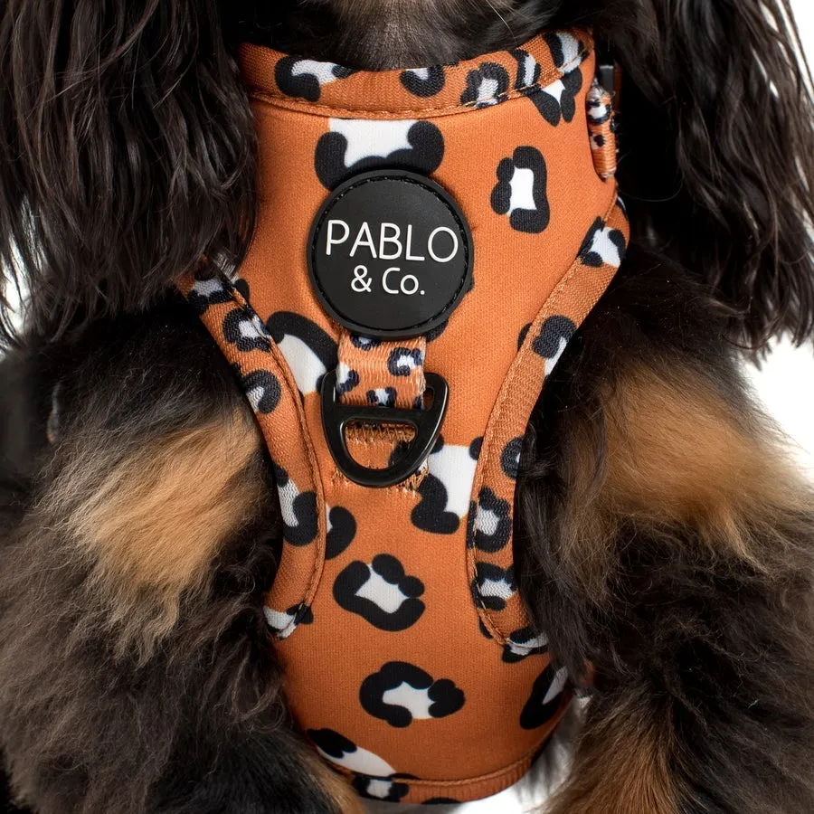 That Leopard Print Adjustable Harness