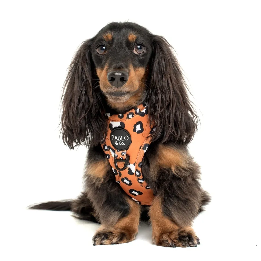 That Leopard Print Adjustable Harness