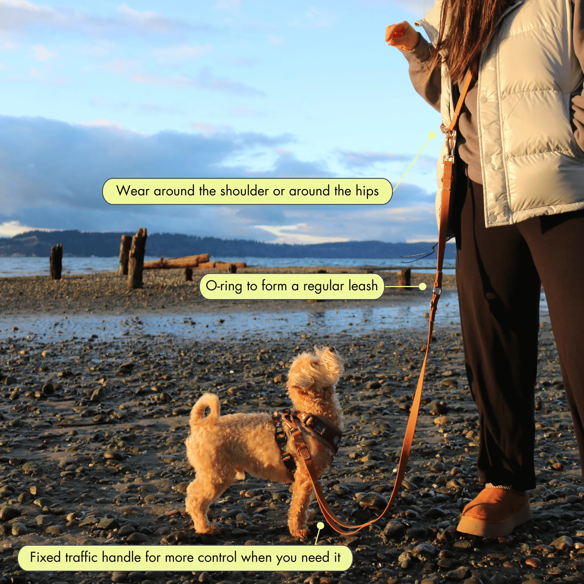 The Ultra Hands Free Leash with Traffic Handle | Camel Brown