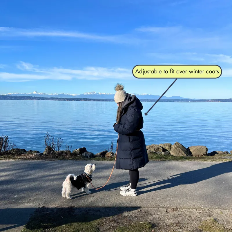 The Ultra Hands Free Leash with Traffic Handle | Matte Charcoal Black