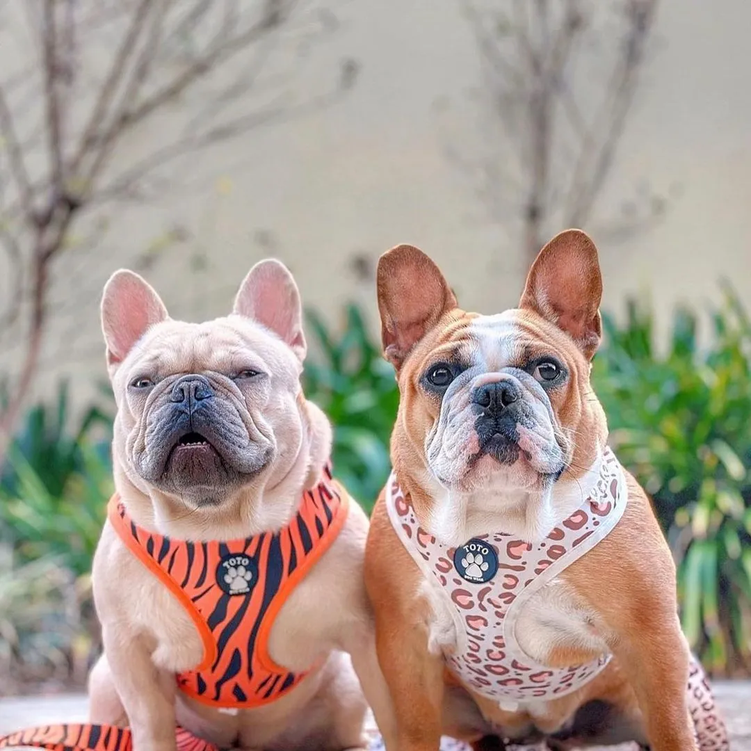 Tiger Harness