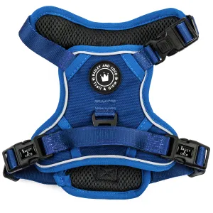 Trail & Glow® Dog Harness - The Ink Blue One
