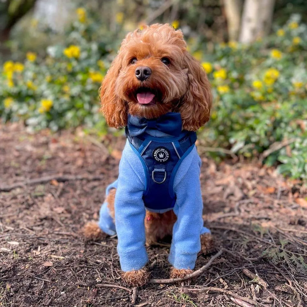 Trail & Glow® Dog Harness - The Ink Blue One