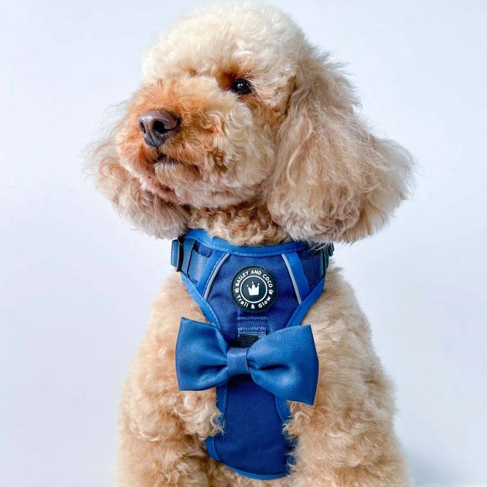 Trail & Glow® Dog Harness - The Ink Blue One